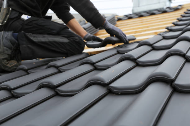 Best Solar Panel Roofing Installation  in Newell, WV